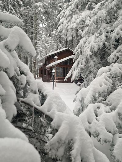 Karinna Orman Evleri