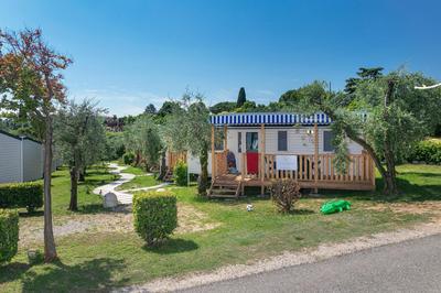 Albatross Mobile Homes on Camping Eden