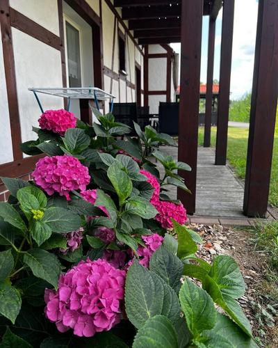 Landhaus Brodack