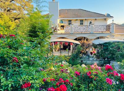 Garden View 4-bedroom house in charming El Dorado Hills with Wifi