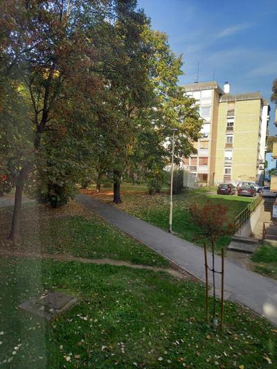 Apartment I&M