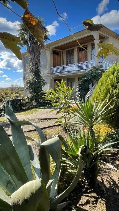 Shonikebi Guest House