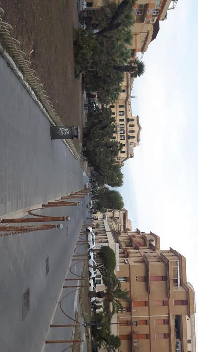 ippocampo