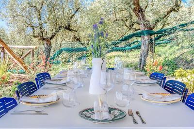 Villa Mediterranea with Heated Pool, Walking Distance from Town by Feeling Italy