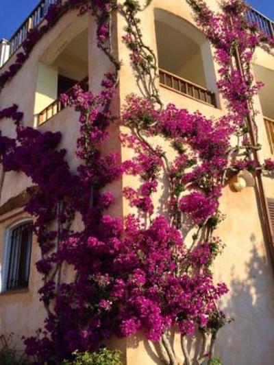 casa sardegna