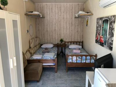 Converted Shed Studio & Garden Hanging Bed