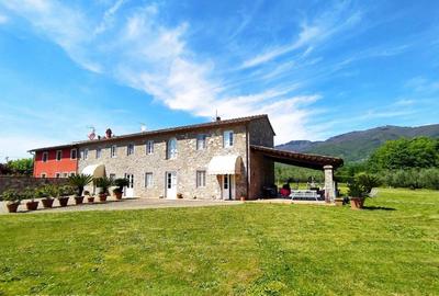 Ringo, the true Tuscany Country House