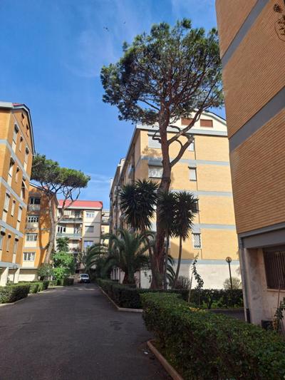 Gold Sunshine srls Guest House o Affittacamere