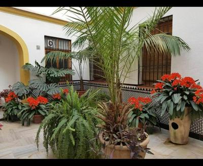 La casa de Tachi