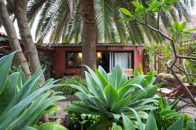 Casa Palmera - Private Paradise
