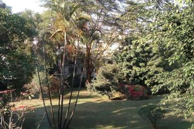 Comfortable Botanical Studio