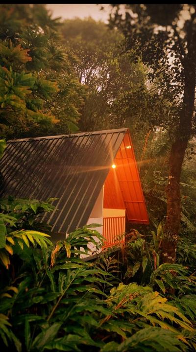 Munnar home stay Teadrops plantation villa