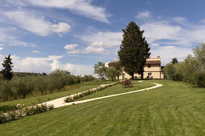 Tenuta Barosi - Cosimo Home