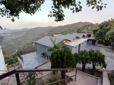 Woodpecker nest by lakes & woods