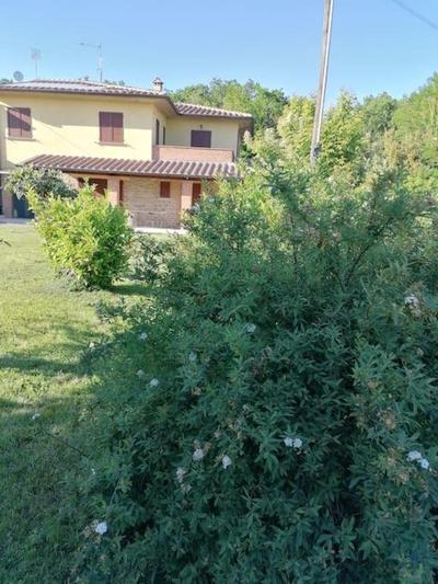 il boschetto da Tiziana