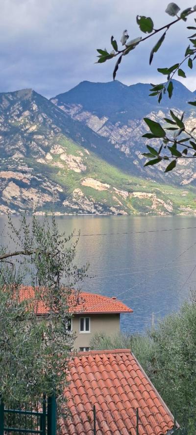 Appartamento Ciclamino