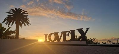 Lovely La Palmita
