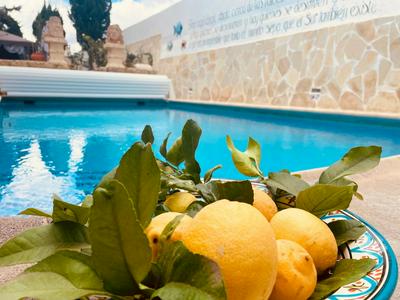 Authentic Canary Style Villa with private pool and garden- Casa Juan Vera