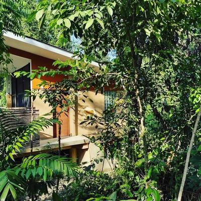 Canto de la Selva Jungle Lodge Selva Lacandona Chiapas