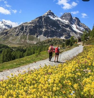 MARY HOUSE Central Station Large Apartment for Groups Olympic Area Milano Cortina 2026