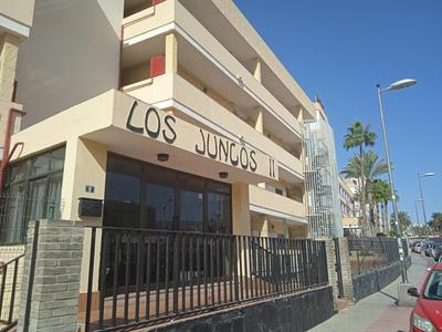 Los Juncos 2, one bedroom apartment