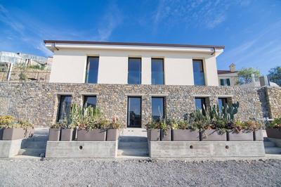 Agave Sanremo