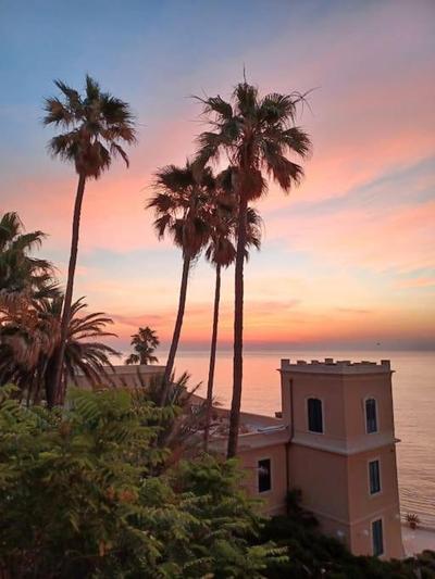 Riccio di Mare - Large and bright flat on the sea