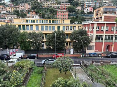 Casa Natalina