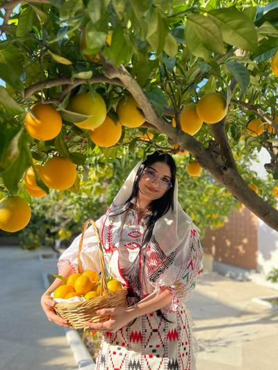 Restaurant Bujtina Portokallja