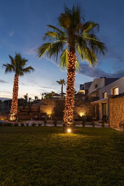 Flamingo View Suites & Villas