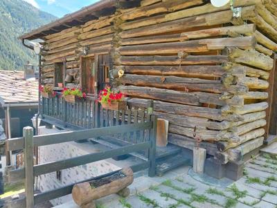 Sogno di Bosco innevato