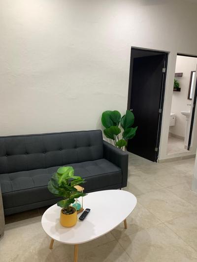 Hotel and Suites Hortensias