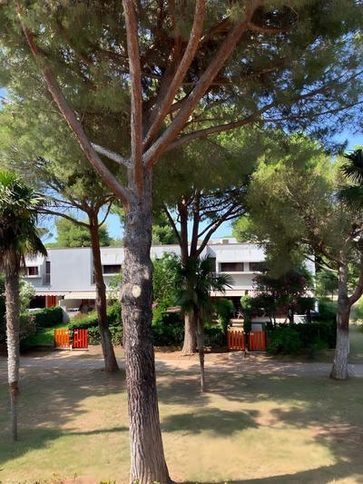 San Vincenzo Podere San Luigi