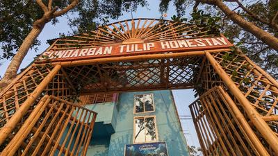 Sundarban Tulip Homestay, Pakhiralay, WB