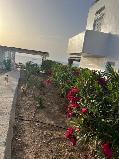 House by the sea in Kea Cyclades