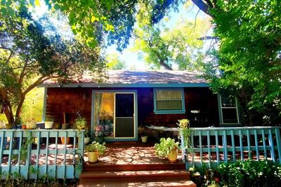 Secret Oasis in Sacramento!