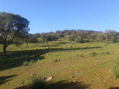 Sierrezuela baja