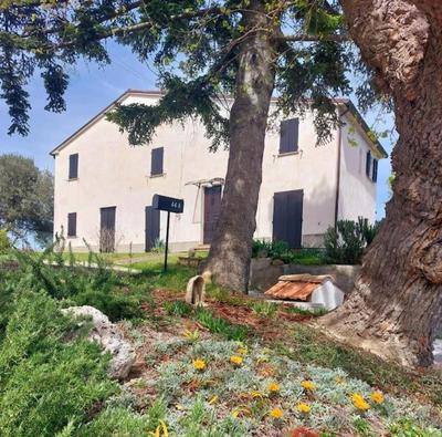 Grazioso cottage di campagna