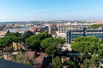 Living Rome - San Paolo