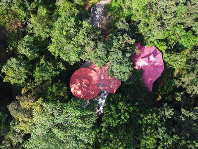 Jungle Ghar,Pachmarhi