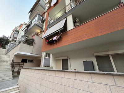 Zoo's Apartment