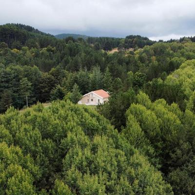 Villa dei Larici