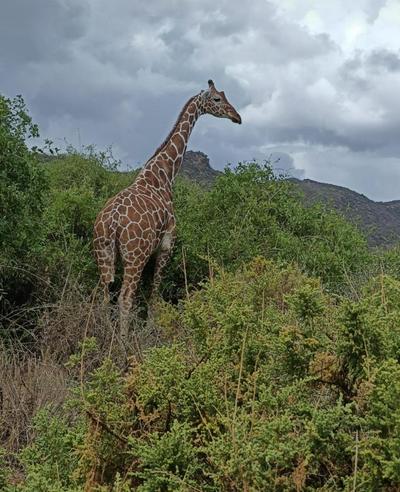 Rangelands Camp photo 2