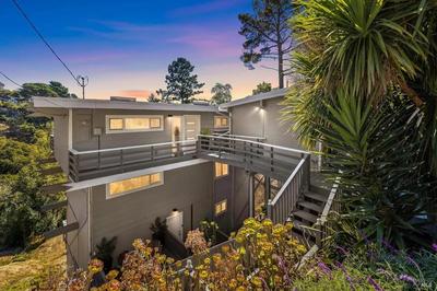 Serene Mill Valley Escape