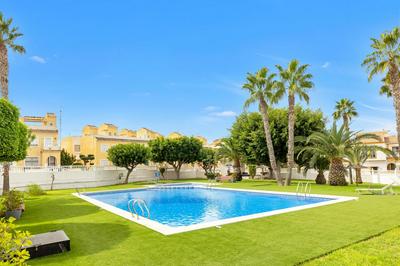 Vive el Paraíso en Oasis Gran Alacant