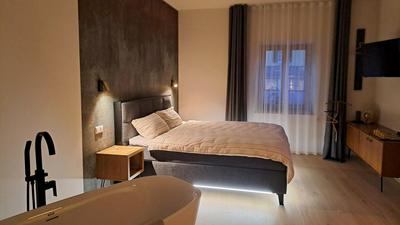 Apartment Stadtmauerloft Gmünd