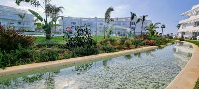 Oasis playa costa Ballena