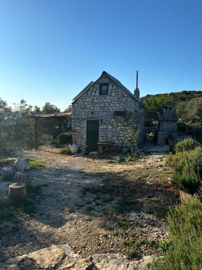 Mrdina house