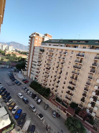 D'Amelio Sweet Home