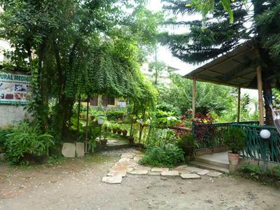 Institute Of Natural Medicine , Yoga & Therapy home